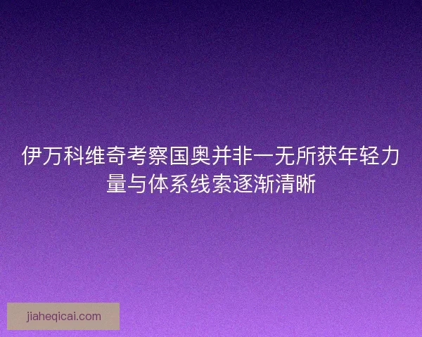 伊万科维奇考察国奥并非一无所获年轻力量与体系线索逐渐清晰