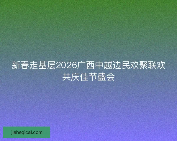 新春走基层2026广西中越边民欢聚联欢共庆佳节盛会