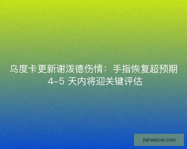 乌度卡更新谢泼德伤情：手指恢复超预期 4-5 天内将迎关键评估