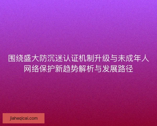 围绕盛大防沉迷认证机制升级与未成年人网络保护新趋势解析与发展路径