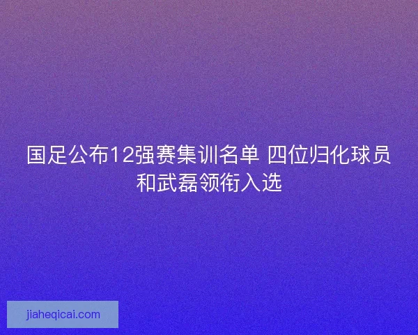 国足公布12强赛集训名单 四位归化球员和武磊领衔入选 国足公布12强赛集训名单 四位归化球员和武磊领衔入选